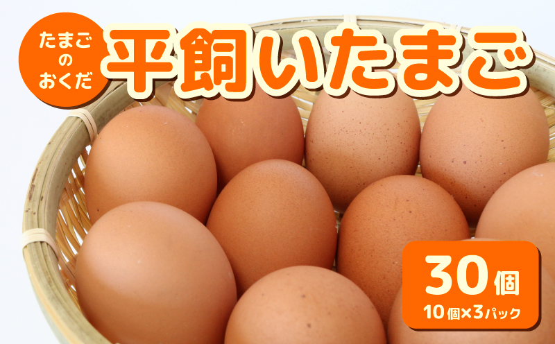 平飼い卵 30個入り たまご 卵 タマゴ 鶏卵