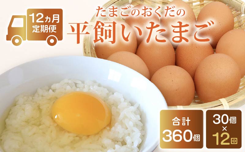【定期便12回】 平飼い卵 30個入り たまご 卵 タマゴ 鶏卵