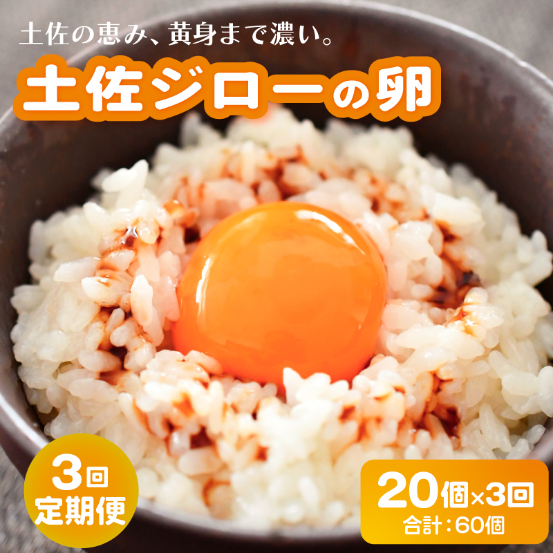 【3回定期便】土佐ジローの卵 20個入り (10個×2パック)【たまご 卵 タマゴ 鶏卵 たまごかけごはん TKG オムレツ ケーキ 卵かけご飯 たまご焼き おいしい おすすめ 高知県 南国市】
