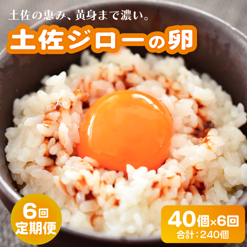 【6回定期便】土佐ジローの卵 40個入り (10個×4パック)【たまご 卵 タマゴ 鶏卵 たまごかけごはん TKG オムレツ ケーキ 卵かけご飯 たまご焼き おいしい おすすめ 高知県 南国市】