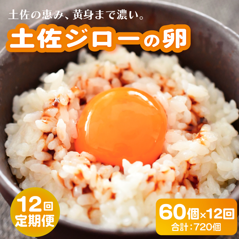 【12回定期便】土佐ジローの卵 60個入り (10個×6パック)【たまご 卵 タマゴ 鶏卵 たまごかけごはん TKG オムレツ ケーキ 卵かけご飯 たまご焼き おいしい おすすめ 高知県 南国市】