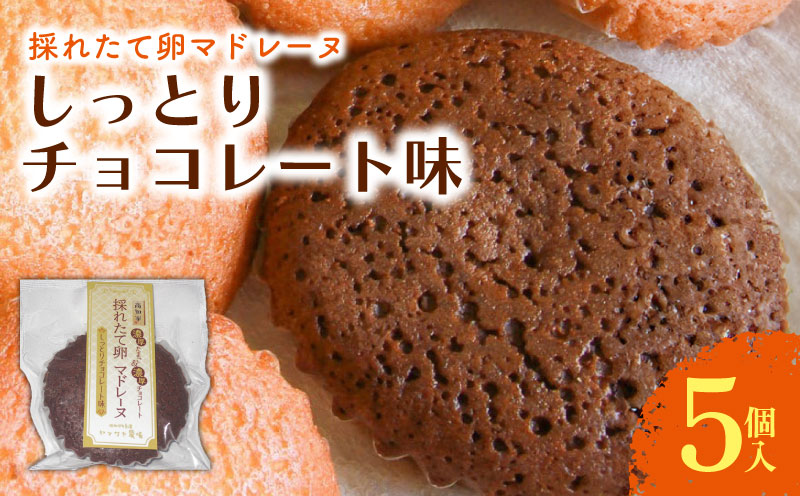 マドレーヌ しっとりチョコレート 5個入 | チョコ チョコレート 焼き菓子 お菓子 おかし 家庭用 ギフト 包装 スイーツ 人気 おすすめ たまご 卵 高知県 南国市