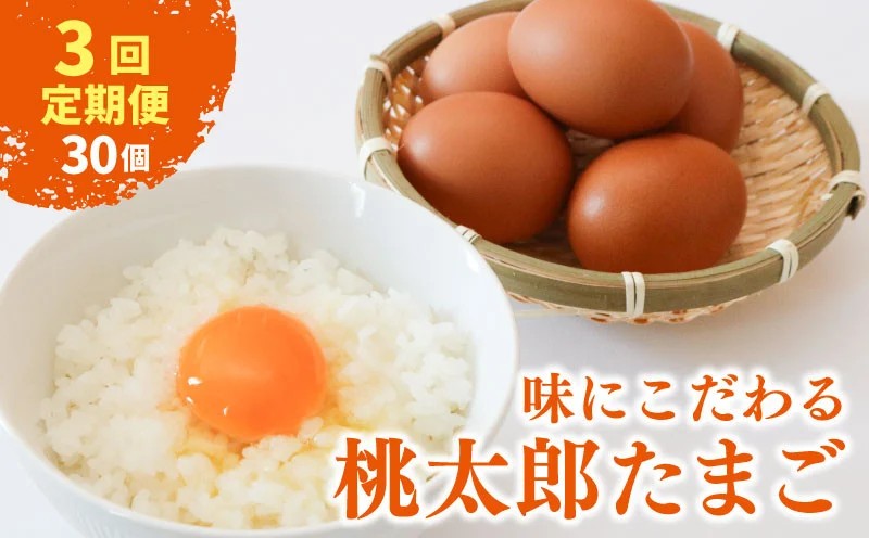 【3回定期便】タマゴ好きにはたまらない 桃太郎たまご 6個入り×5セット