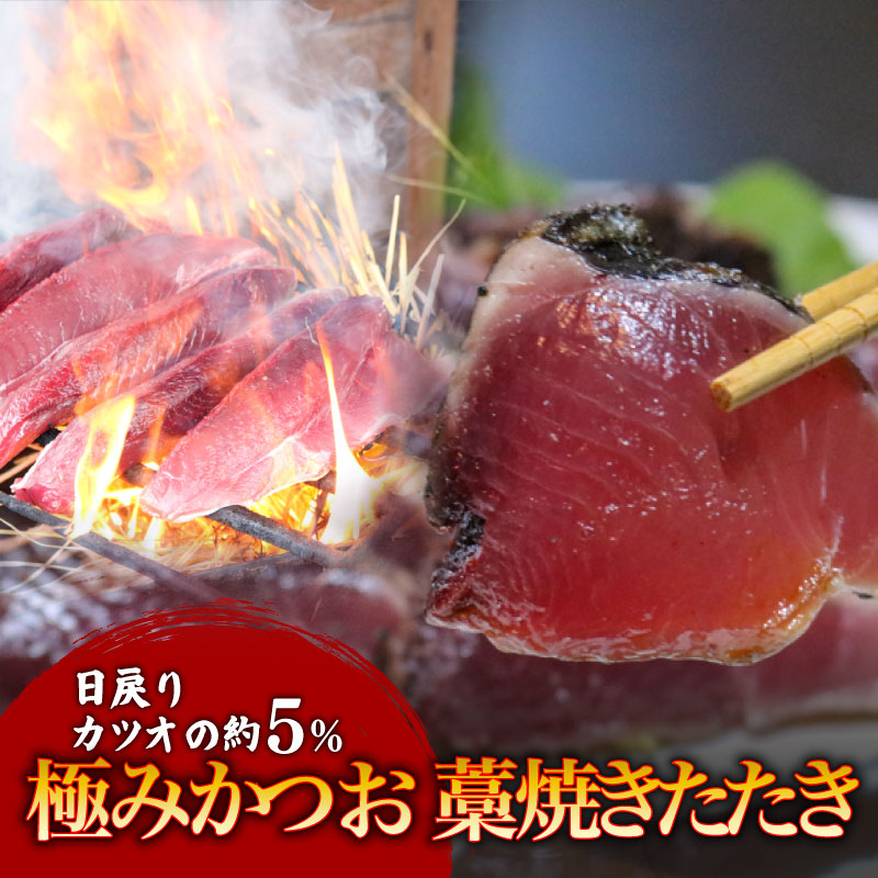 冷凍もちもち食感極みかつお藁焼きたたき250g×2節【鰹 たたき かつおのたたたき わら焼き 藁焼き 魚 魚介 食品  人気 おすすめ 高知県 南国市】