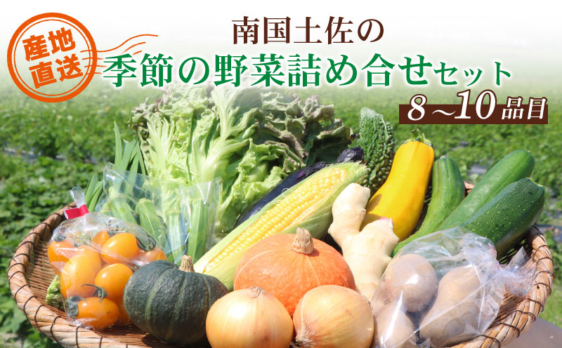 [産地直送新鮮野菜] 高知県産 南国土佐の季節の野菜詰め合せセット[野菜セット]
