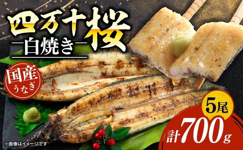 [通常用]極上国産うなぎ四万十桜 白焼き約140g×5尾 | うなぎ 鰻 蒲焼き 国産 四万十鰻 白焼き 調理済み タレ付き 家庭用 高級 お取り寄せ グルメ 食べ比べ 冷凍