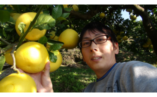 三愛果樹園の土佐文旦　（小玉）家庭用5kg　先行予約 2月～