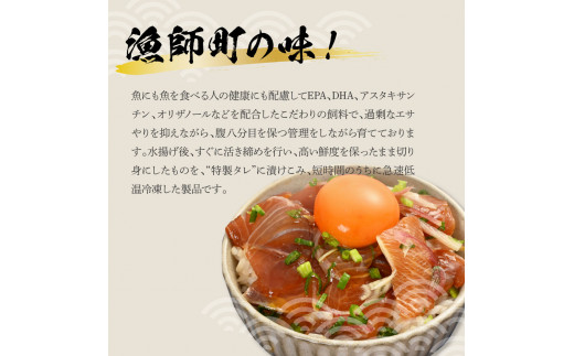 活き締めブリの醤油漬け丼（4P）セット 鰤 ぶり 漬け丼 漬