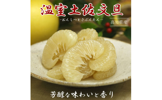 12月発送土佐文旦 温室土佐文旦 特選秀品ご贈答用中箱 約3kg