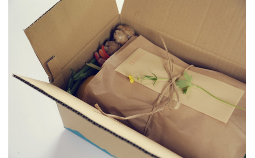 『定期便全12回』栽培期間中に農薬不使用の生姜200gと旬の