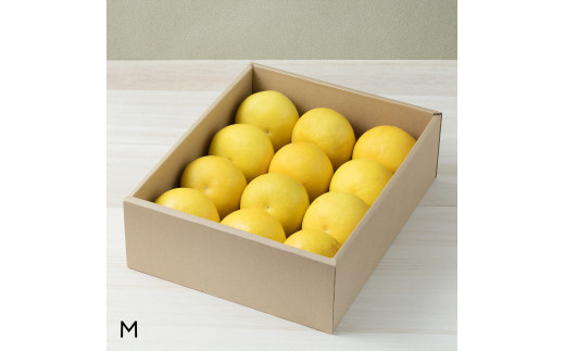 ☆至高の柑橘　高知産土佐文旦☆M 12玉入【家庭用】ぶんた