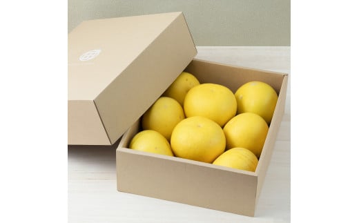 ☆至高の柑橘　高知産土佐文旦☆３L８玉入【家庭用】