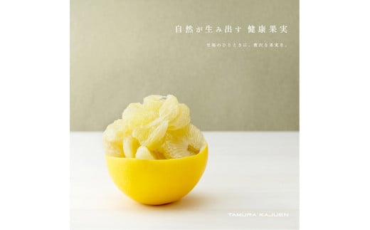 秀品 ☆高知産土佐文旦☆３L８玉入【贈答用】文旦 みかん 