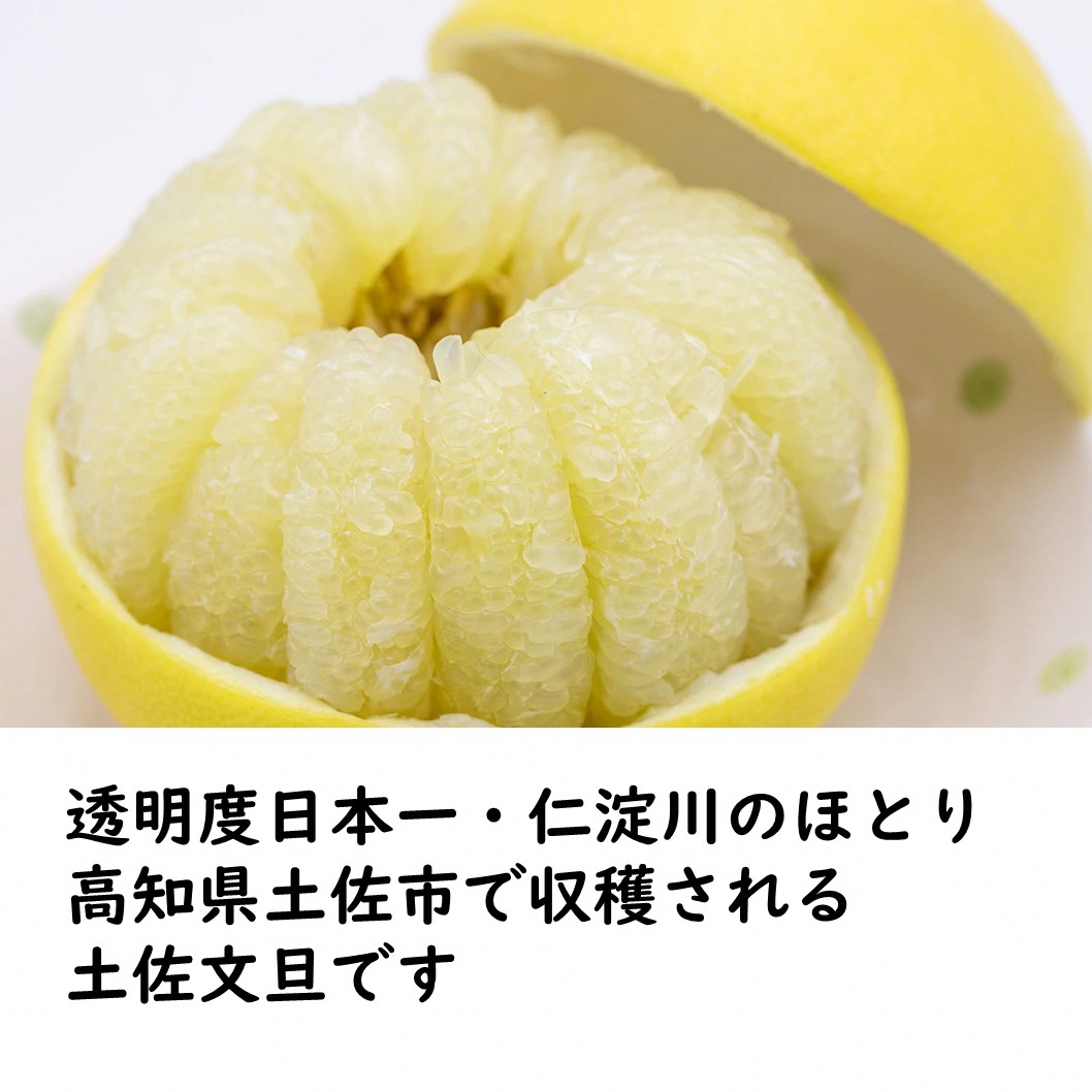 生産者直送　土佐文旦9.5kg[2L～4L]家庭用 ぶんたん ブンタン 