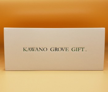 高知県土佐市産 Konatsu Drink KD 20％ 160ml (6本入) ジュース 小夏