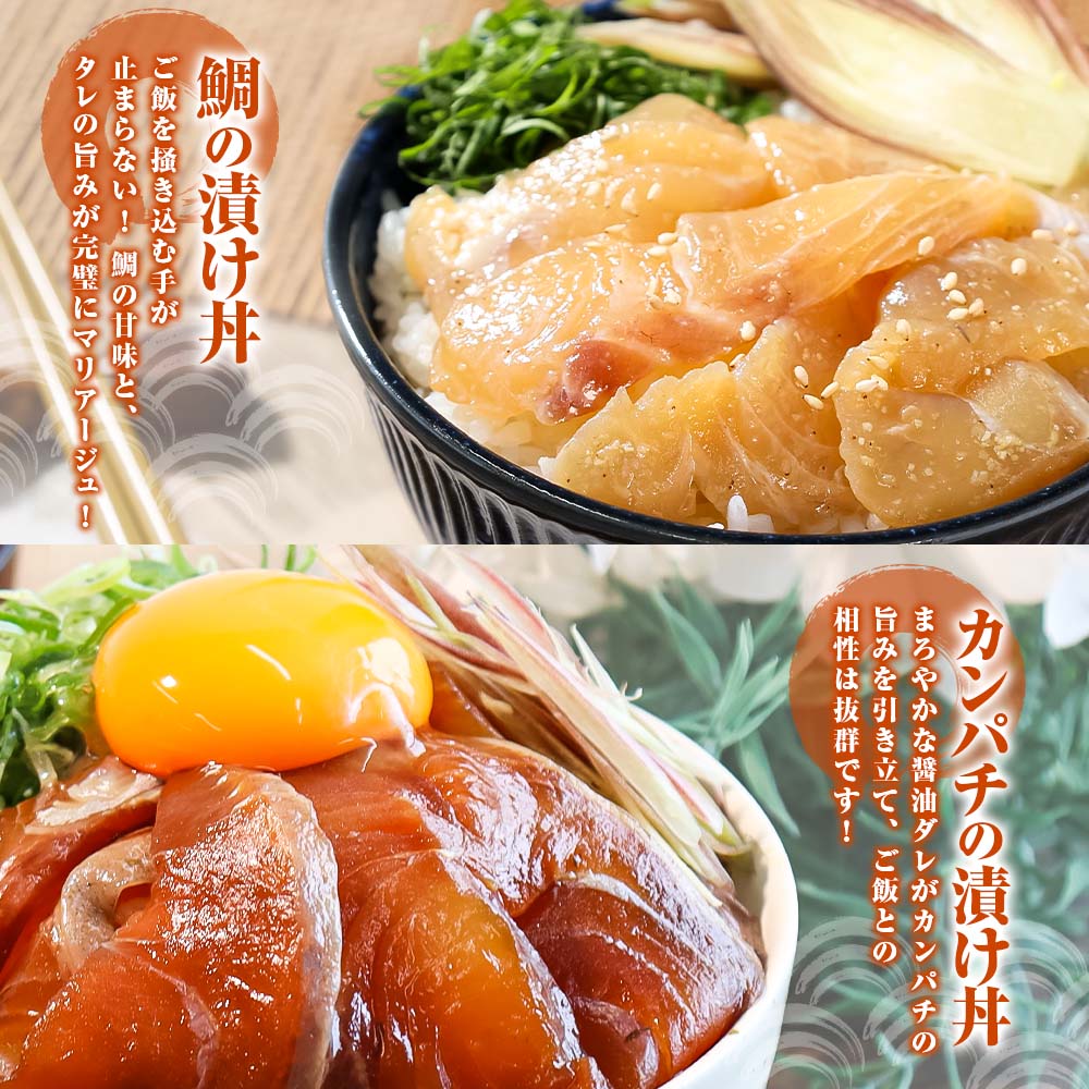 こだわり！土佐の海鮮丼の素５種・各１袋セット【鰹タタ