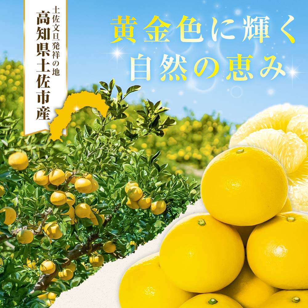 【日本ギフト大賞2024受賞】【先行予約】文旦 小玉 10kg（L～