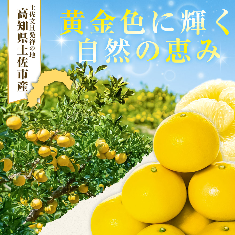 【日本ギフト大賞2024受賞】園主こだわりの土佐文旦 7キロ 