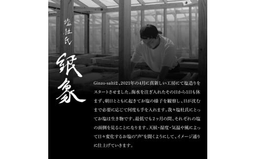 銀象ソルト Ginzo-Salt お試しサイズ３種類セット 