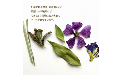 ＜3回定期便＞ ハーブ仁淀川産 自然栽培ハーブ 高知ブルー