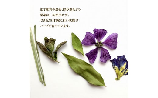 ハーブ仁淀川産 自然栽培ハーブ 高知ブルース ハーブティ