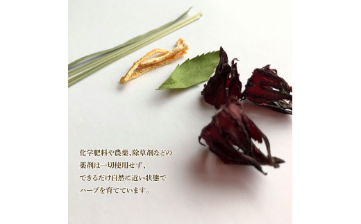 ＜3回定期便＞ ハーブ仁淀川産 自然栽培ハーブ トロピカル