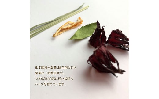 ハーブ仁淀川産 自然栽培ハーブ トロピカルブレンド スウ