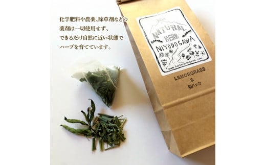 《3ヵ月定期便》ハーブ仁淀川産 自然栽培ハーブ レモング