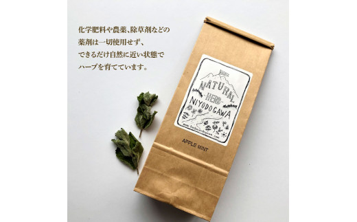 《6ヵ月定期便》ハーブ仁淀川産 自然栽培ハーブ アップル