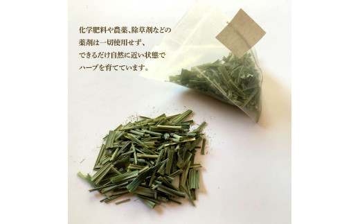 《3ヵ月定期便》ハーブ仁淀川産 自然栽培ハーブ レモング