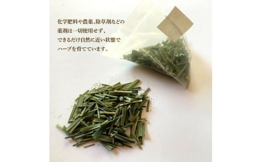 ハーブ仁淀川産 自然栽培ハーブ レモングラス ハーブティ