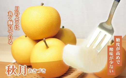 高知県土佐市産 梨（秋月）約2kg 5～6玉 期間限定 あきづき 
