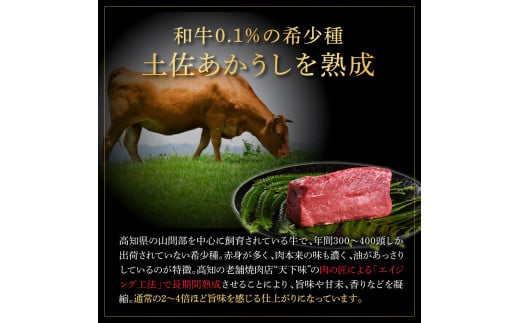特選 スネ肉煮込み角切り 土佐あかうし 長期熟成肉 500g×2 