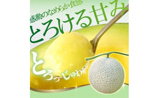 先行予約 メロン ２玉入り（1玉約1.4kg～1.8kg）青肉 2026年春