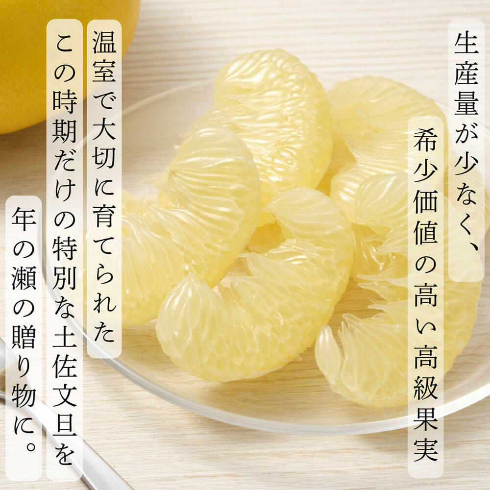 厳選 温室土佐文旦 贈答用木箱入り 大玉 2玉 約600g×2個 ぶん