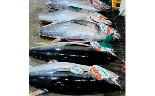 絶品！マグロのネギトロお試しセット 約200g 約1～2人前 薬