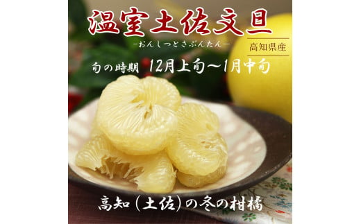 12月発送土佐文旦 温室土佐文旦 L～3L 約6kg 約6キロ(10～14個