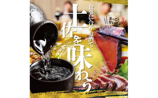 純米吟醸生原酒 CEL-24 1800ml 1.8l 生酒 毎月1本×3回 定期便 お