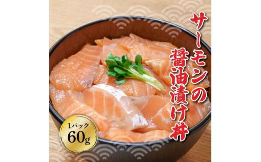 土佐の海鮮漬け丼（サーモン・まぐろ）各10袋セット 1パッ