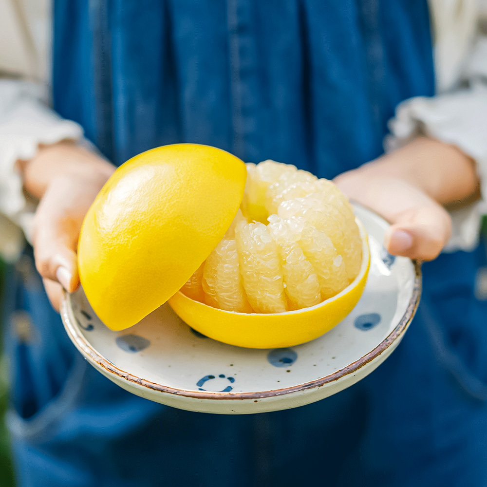 温室土佐文旦 ブンタン ぶんたん 特選 約3kg 約3キロ 5～6個 2
