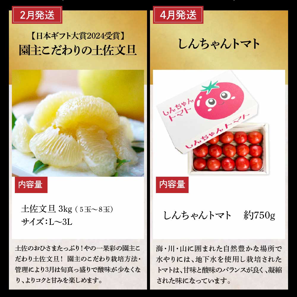 土佐市まるごとセット6回コース（偶数月）土佐文旦 しんち