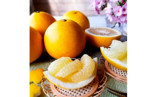 マルツジ果樹園の土佐文旦 家庭用(小玉) 約5kg 5キロ M～Lサ