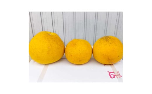 土佐文旦 文旦 訳あり 大玉入り 5kg 5キロ 3L～L ぶんたん ブ