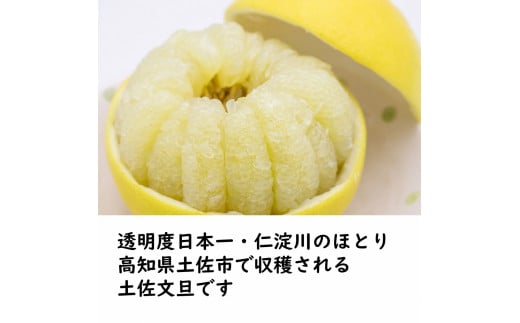 生産者直送　土佐文旦3.0kg[2L～4L]家庭用 【2026年1月下旬より
