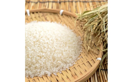 コシヒカリ 5kg 5キロ 精米 白米 お米 ご飯 ごはん 米 kome こ