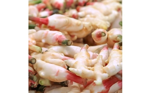 ハウス新生姜 2kg 2キロ しょうが ショウガ 新鮮野菜 野菜 お