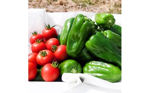 ハッピーマン＆完熟トマトセット＆ズッキーニ 1kgセット 1