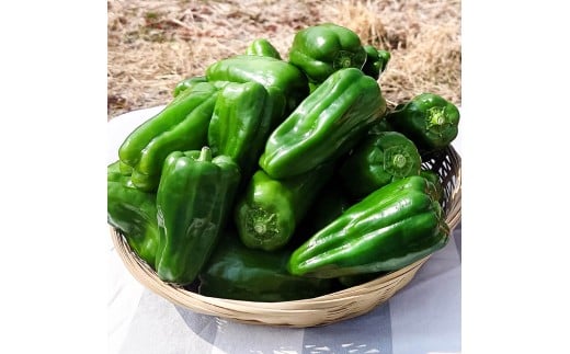 ハッピーマン＆完熟トマトセット 2kgセット 2キロセット ピ