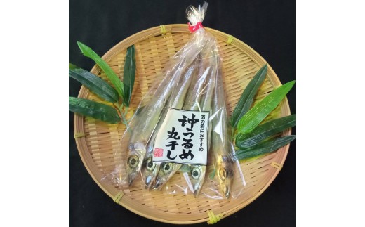 高見商店干物詰め合わせセット 高知 高知県 土佐市 こうち 