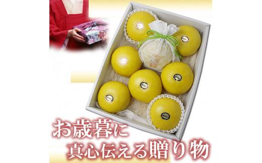 12月発送土佐文旦 温室土佐文旦 特選秀品ご贈答用中箱 約3kg